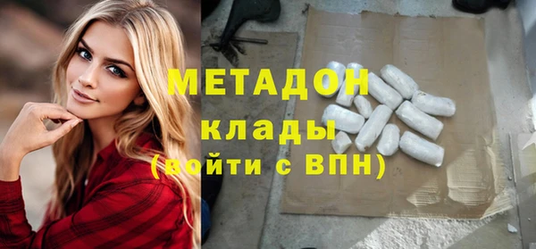 прущие грибы Дмитриев