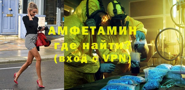 прущие грибы Дмитриев