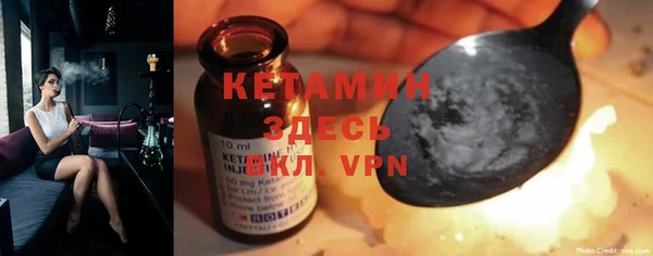 прущие грибы Дмитриев