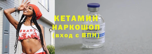 спиды Ельня