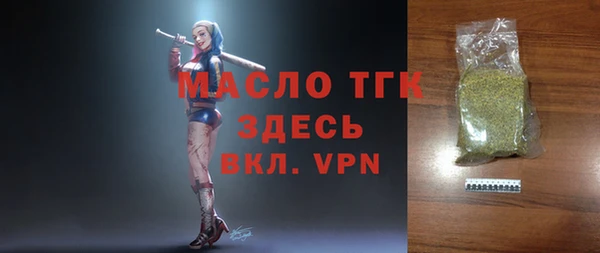 спиды Ельня