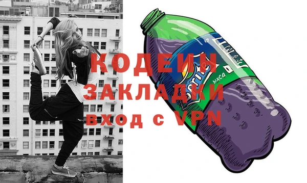 прущие грибы Дмитриев