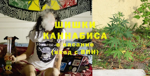 спиды Ельня