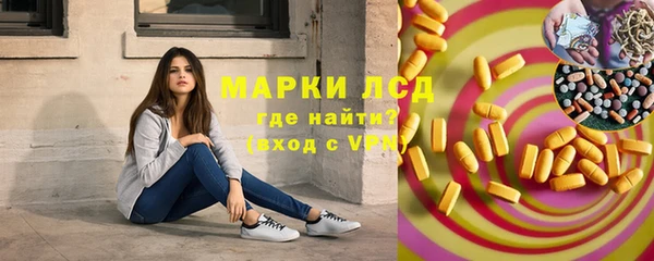 прущие грибы Дмитриев