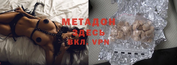 прущие грибы Дмитриев