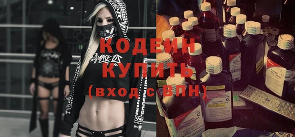 прущие грибы Дмитриев