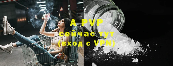 прущий лед Дмитровск