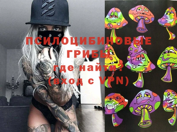 прущий лед Дмитровск