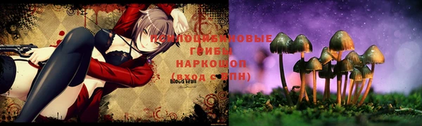 спиды Дмитров