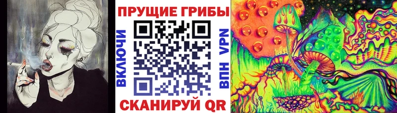 Псилоцибиновые грибы Cubensis hydra ONION Сальск