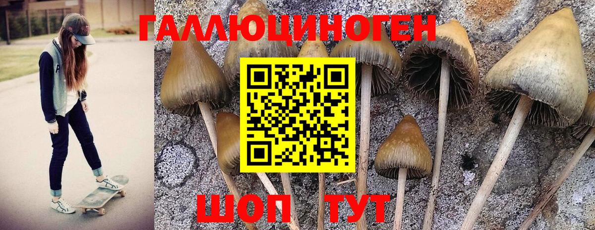 Экстази  MDMA  Вход с VPN  Меф МЯУ МЯУ   Сальск  Бошки Шишки  ГАШ 