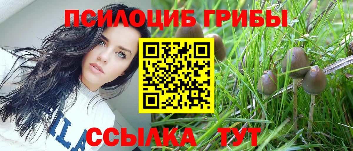 Галлюциногенные грибы GOLDEN TEACHER  Псилоцибиновые грибы MAGIC MUSHROOMS  Вход с VPN  Сальск 